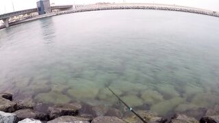 морская рыбалка в Dubai и ОАЭ где ловят с берега и с катера, и что реально попадается