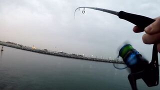 морская рыбалка в Dubai и ОАЭ где ловят с берега и с катера, и что реально попадается