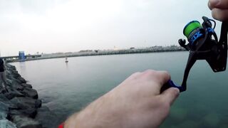 морская рыбалка в Dubai и ОАЭ где ловят с берега и с катера, и что реально попадается