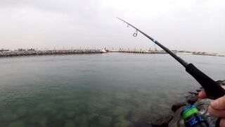 морская рыбалка в Dubai и ОАЭ где ловят с берега и с катера, и что реально попадается