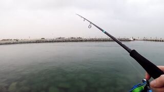 морская рыбалка в Dubai и ОАЭ где ловят с берега и с катера, и что реально попадается