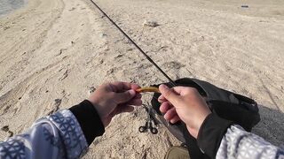 Dubai морская рыбалка в Dubai последний день с берега часть 4