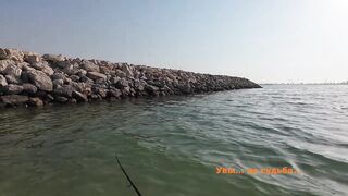 Dubai морская рыбалка в Dubai последний день с берега часть 4