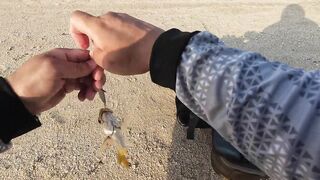 Dubai морская рыбалка в Dubai последний день с берега часть 4