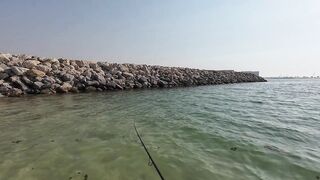 Dubai морская рыбалка в Dubai последний день с берега часть 4
