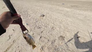 Dubai морская рыбалка в Dubai последний день с берега часть 4