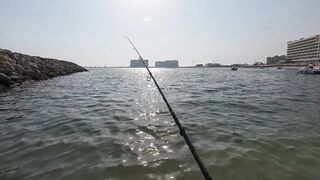 Dubai морская рыбалка в Dubai последний день с берега часть 4