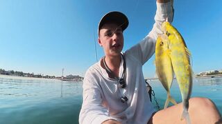 Dubai - ультралайт в ОАЭ поклевки на каждом забросе и кто в прилове