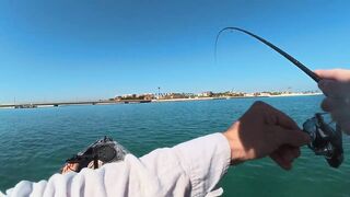 Dubai - ультралайт в ОАЭ поклевки на каждом забросе и кто в прилове