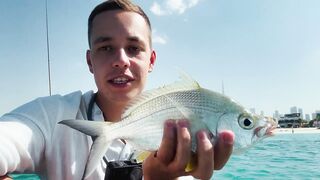 Dubai - ультралайт в ОАЭ поклевки на каждом забросе и кто в прилове