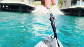 Dubai - ультралайт в ОАЭ поклевки на каждом забросе и кто в прилове