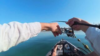 Dubai - ультралайт в ОАЭ поклевки на каждом забросе и кто в прилове