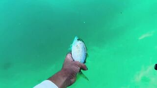 Dubai - ультралайт в ОАЭ поклевки на каждом забросе и кто в прилове