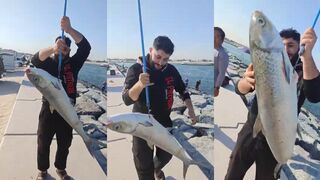 Jumeira Dubai صيد سمكة الملك فش крупный kingfish с берега