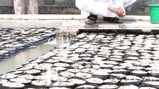 Как UAE усиливает fisheries и почему это важно тем кто ловит рядом с берегом