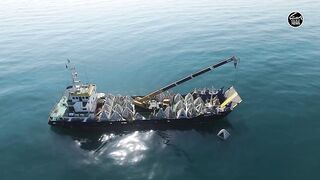 Как UAE усиливает fisheries и почему это важно тем кто ловит рядом с берегом