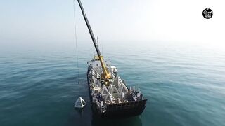 Как UAE усиливает fisheries и почему это важно тем кто ловит рядом с берегом