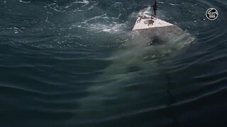 Как UAE усиливает fisheries и почему это важно тем кто ловит рядом с берегом