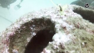 Как UAE усиливает fisheries и почему это важно тем кто ловит рядом с берегом