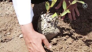 Как UAE усиливает fisheries и почему это важно тем кто ловит рядом с берегом