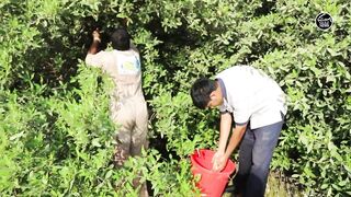 Как UAE усиливает fisheries и почему это важно тем кто ловит рядом с берегом