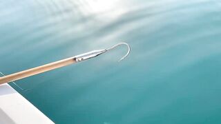 Рыбалка в United Arab Emirates: что можно ловить, и где стартовать новичку