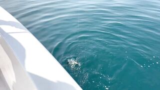 Рыбалка в United Arab Emirates: что можно ловить, и где стартовать новичку