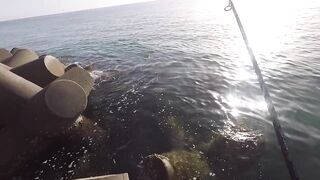 Rock Fishing в United Arab Emirates на камнях что клюет и как не резать леску