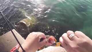 Rock Fishing в United Arab Emirates на камнях что клюет и как не резать леску