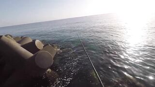 Rock Fishing в United Arab Emirates на камнях что клюет и как не резать леску