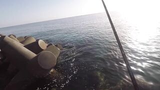 Rock Fishing в United Arab Emirates на камнях что клюет и как не резать леску