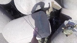 Rock Fishing в United Arab Emirates на камнях что клюет и как не резать леску