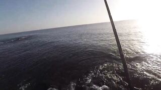 Rock Fishing в United Arab Emirates на камнях что клюет и как не резать леску