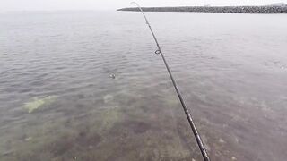 морская рыбалка в United Arab Emirates у кромки воды и быстрые поклевки на мелководье