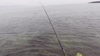 морская рыбалка в United Arab Emirates у кромки воды и быстрые поклевки на мелководье