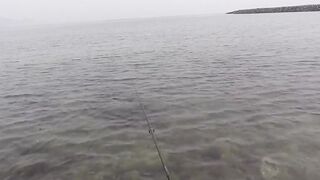 морская рыбалка в United Arab Emirates у кромки воды и быстрые поклевки на мелководье