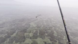 морская рыбалка в United Arab Emirates у кромки воды и быстрые поклевки на мелководье