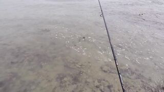 морская рыбалка в United Arab Emirates у кромки воды и быстрые поклевки на мелководье