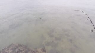 морская рыбалка в United Arab Emirates у кромки воды и быстрые поклевки на мелководье