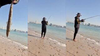 Weekend barras - барракуды с каяка в Abu Dhabi, как не откусили приманку