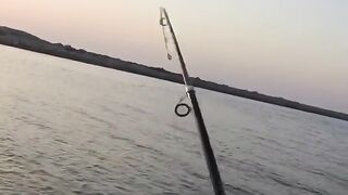 Рыбалка в ОАЭ с берега рыба игла и кастмастер на спиннинге, как вести приманку