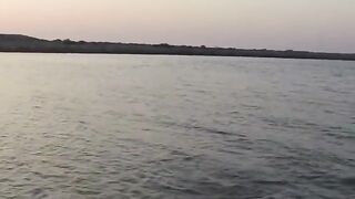 Рыбалка в ОАЭ с берега рыба игла и кастмастер на спиннинге, как вести приманку