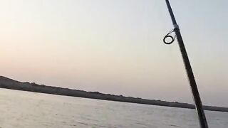 Рыбалка в ОАЭ с берега рыба игла и кастмастер на спиннинге, как вести приманку