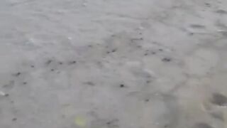 Рыбалка в ОАЭ с берега рыба игла и кастмастер на спиннинге, как вести приманку