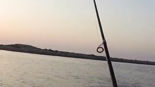 Рыбалка в ОАЭ с берега рыба игла и кастмастер на спиннинге, как вести приманку