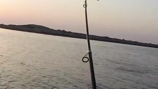 Рыбалка в ОАЭ с берега рыба игла и кастмастер на спиннинге, как вести приманку