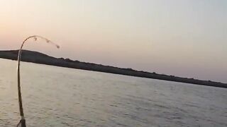 Рыбалка в ОАЭ с берега рыба игла и кастмастер на спиннинге, как вести приманку