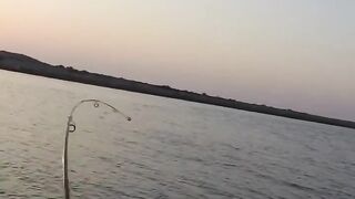 Рыбалка в ОАЭ с берега рыба игла и кастмастер на спиннинге, как вести приманку