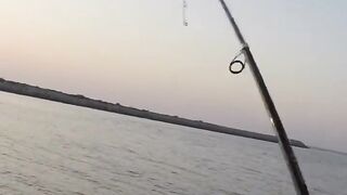 Рыбалка в ОАЭ с берега рыба игла и кастмастер на спиннинге, как вести приманку