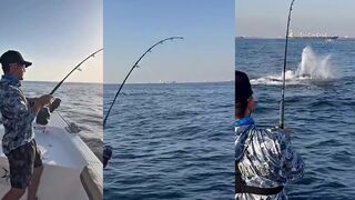 ОАЭ / UAE морская рыбалка в ОАЭ где ловят с берега и с лодки